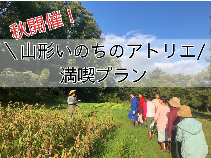 【秋開催】山形いのちのアトリエ満喫プラン