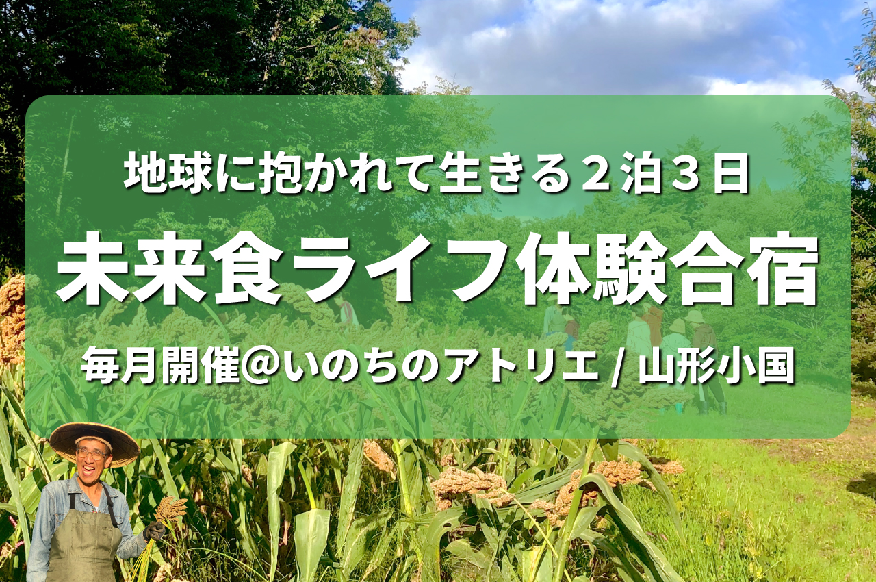 【いのちのアトリエ新企画】6/23スタート！未来食ライフ体験合宿